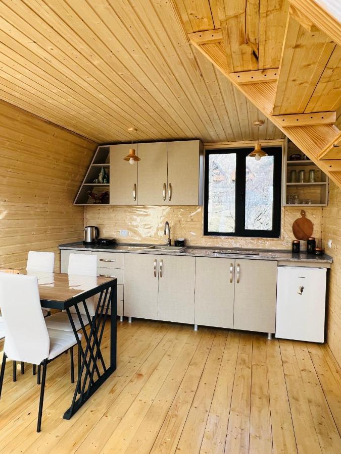 Emotion Kazbegi Apartment Bagian luar foto