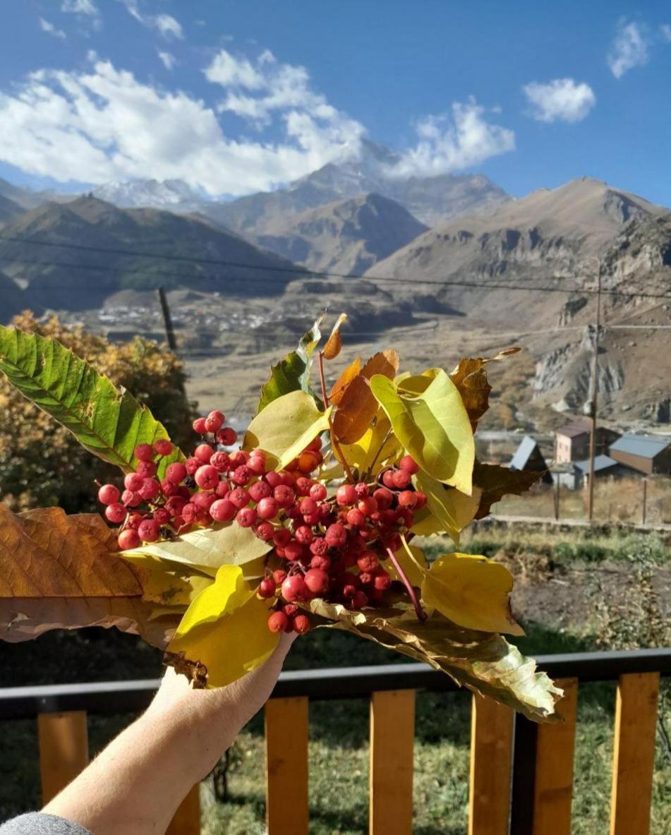 Emotion Kazbegi Apartment Ruang foto