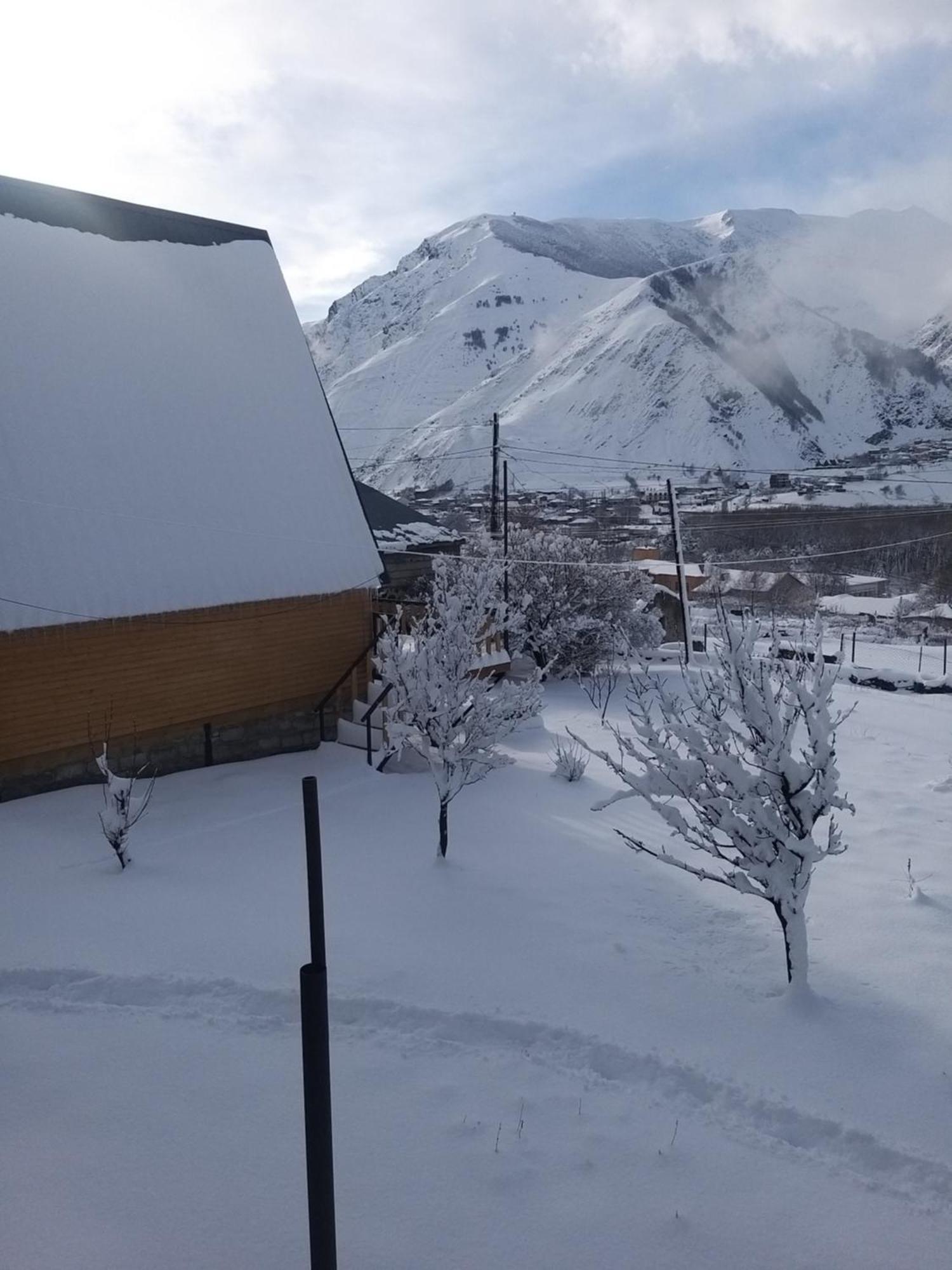 Emotion Kazbegi Apartment Ruang foto