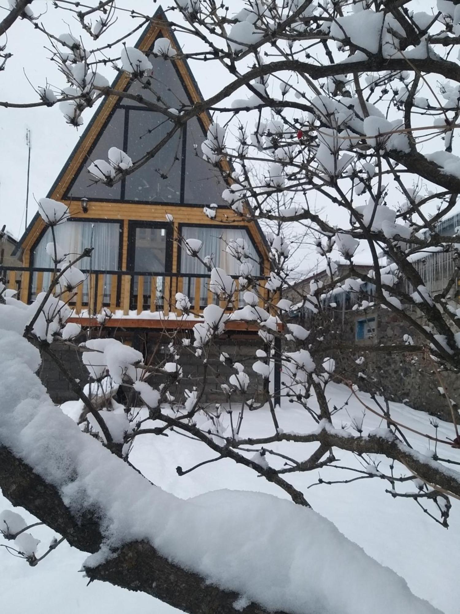 Emotion Kazbegi Apartment Ruang foto