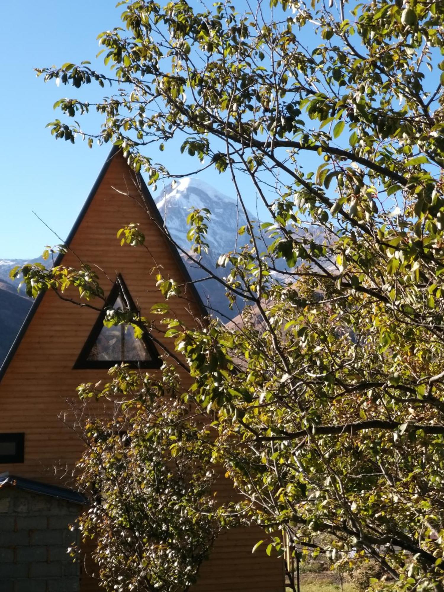 Emotion Kazbegi Apartment Ruang foto