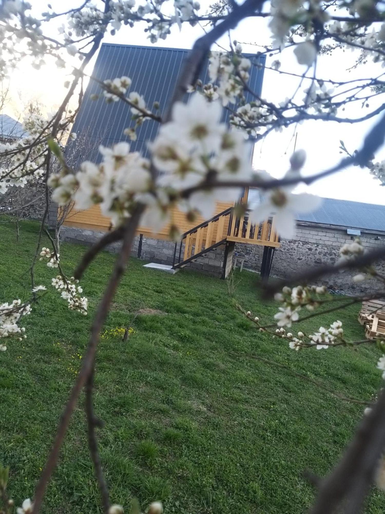 Emotion Kazbegi Apartment Ruang foto