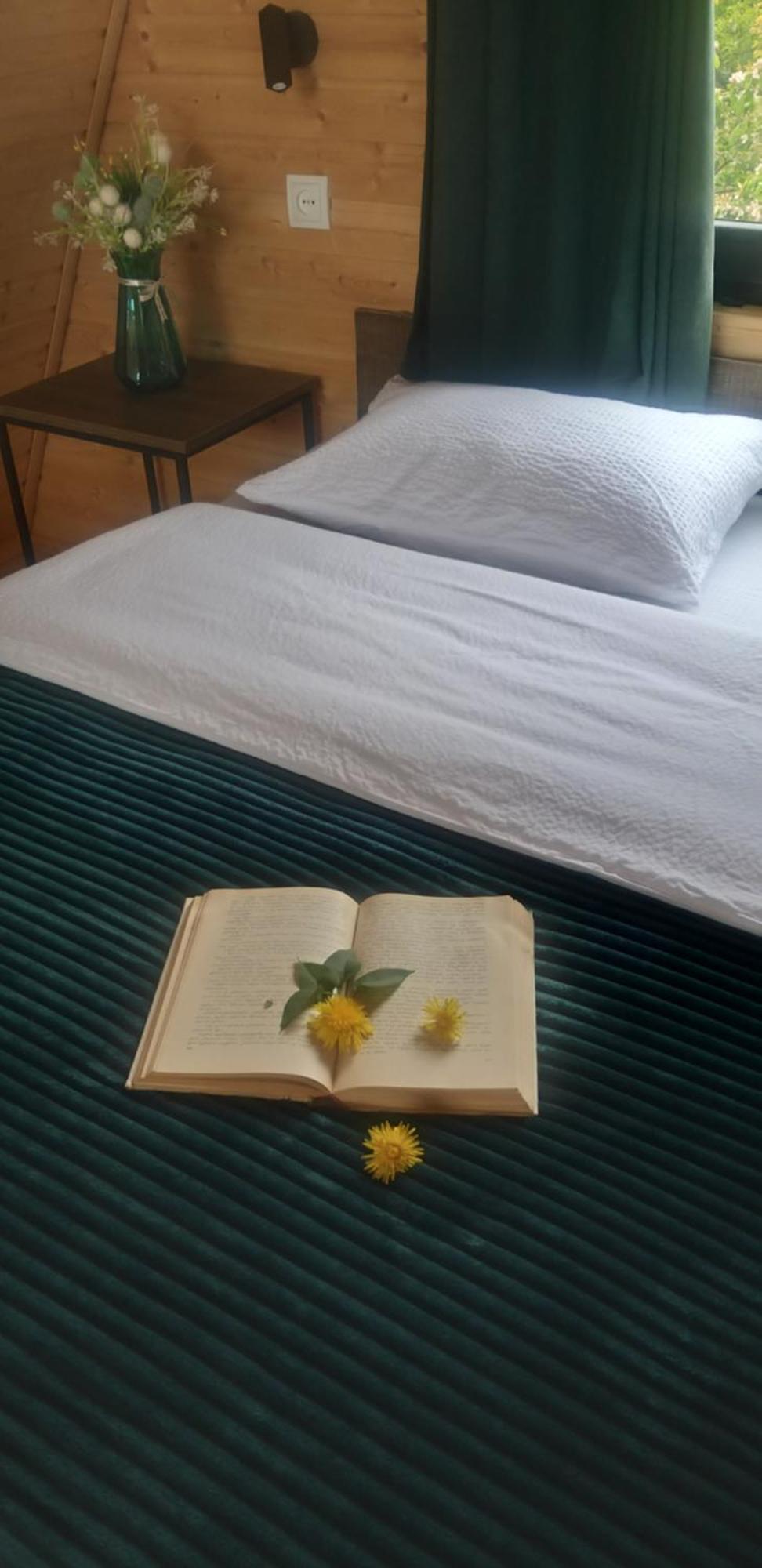 Emotion Kazbegi Apartment Bagian luar foto