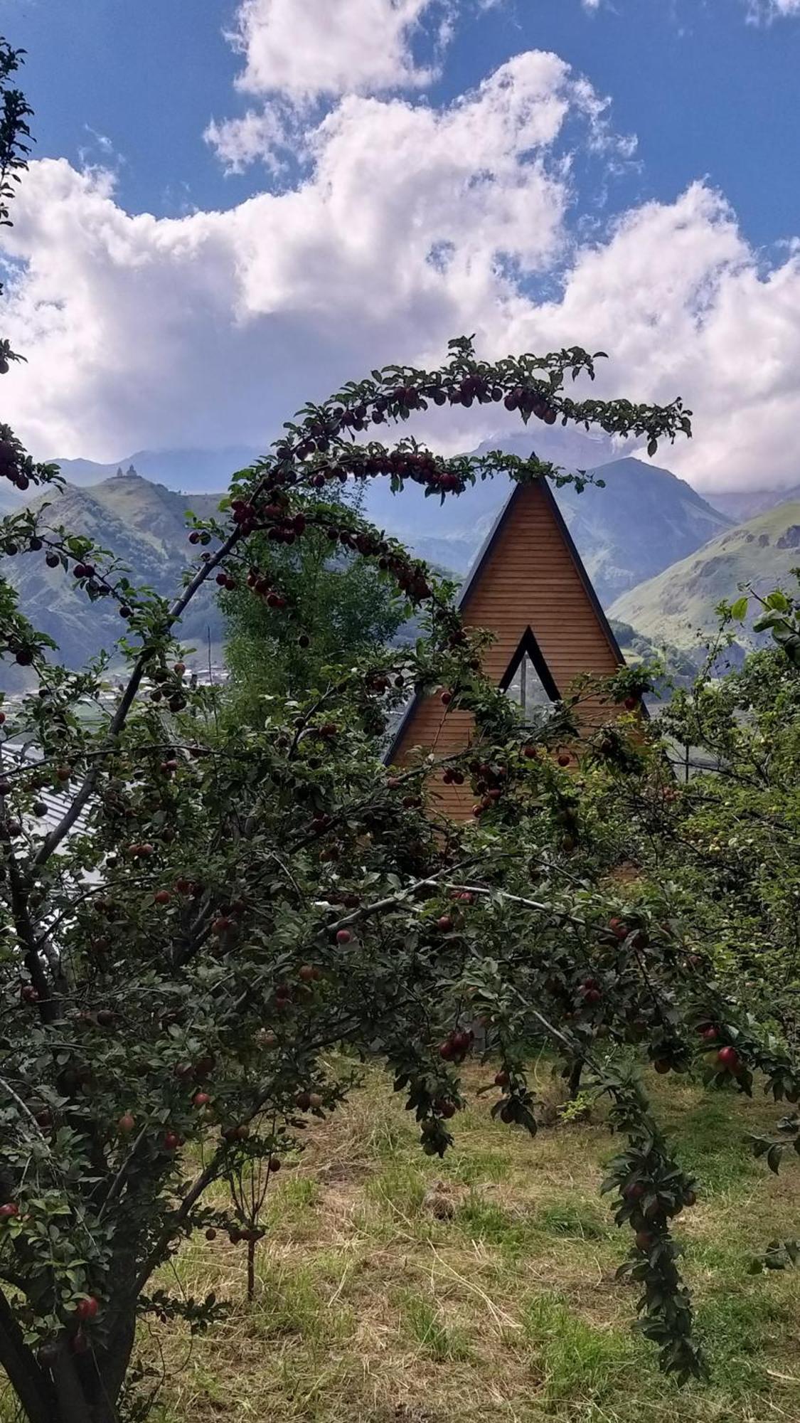 Emotion Kazbegi Apartment Bagian luar foto